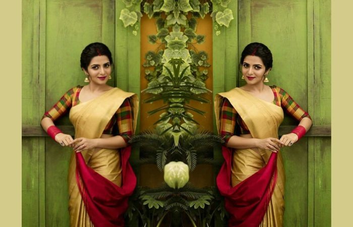 Kerala Saree With Checkered Blouse